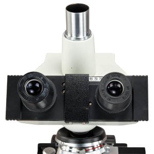 Microscope Eyepiece