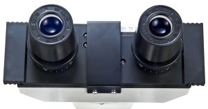 Microscope Eyepiece