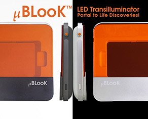 LED Trasnilluminator