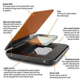 LED Trasnilluminator
