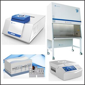 Molecular Diagnostics
