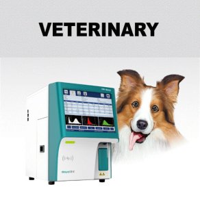 Veterinary